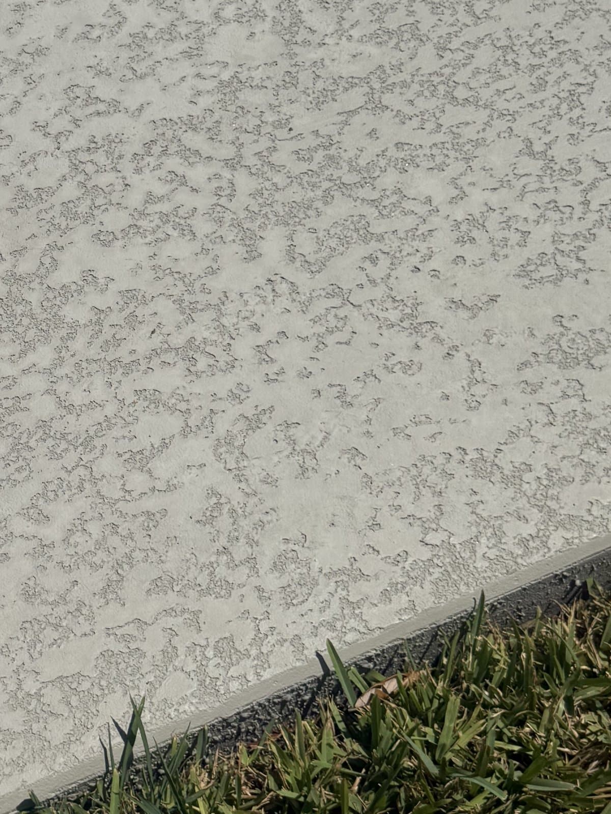 Close-up of a sprayed knockdown cool deck texture, light gray over a darker base, at the edge of the slab beside grass